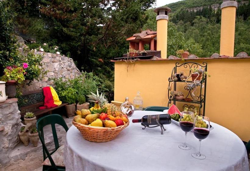 Bed and Breakfast Ulivo Rosso  | Sesto Fiorentino | Florence | Italia 19