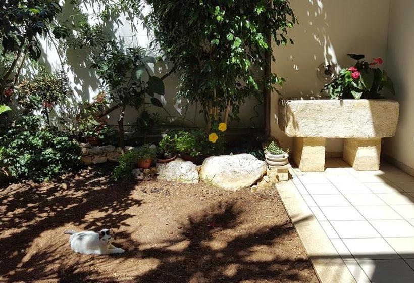 Bed and Breakfast Federico Ii  | Brindisi | Brindisi | Italia 1