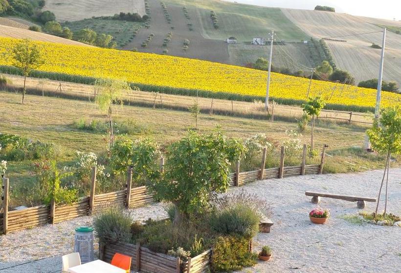 Bed and Breakfast Il Casale Dei Ciliegi  | Sant Omero | Teramo | Italia 12