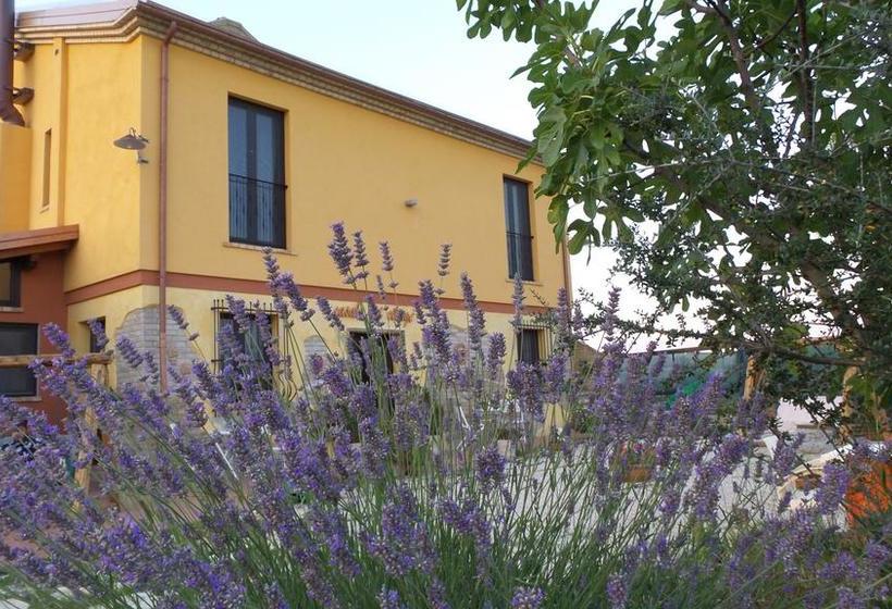 Bed and Breakfast Il Casale Dei Ciliegi  | Sant Omero | Teramo | Italia 13