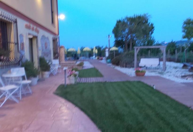 Bed and Breakfast Il Casale Dei Ciliegi  | Sant Omero | Teramo | Italia 5