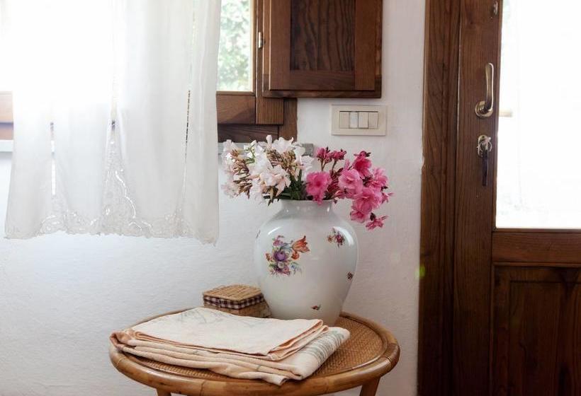 Bed and Breakfast Borgo De Salaioli  | Scansano | Grosseto | Italia 11