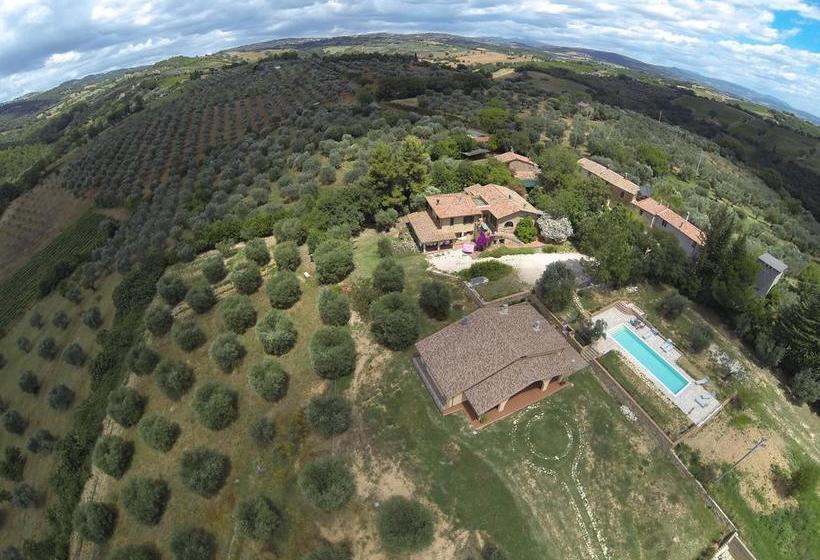 Bed and Breakfast Borgo De Salaioli  | Scansano | Grosseto | Italia 16