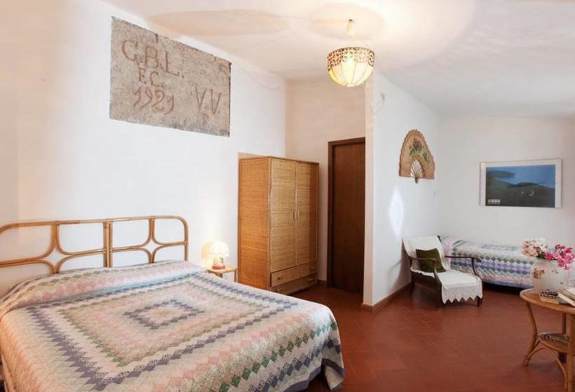 Bed and Breakfast Borgo De Salaioli  | Scansano | Grosseto | Italia 3
