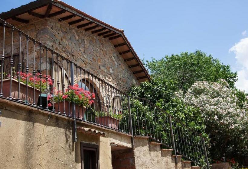 Bed and Breakfast Borgo De Salaioli  | Scansano | Grosseto | Italia 4