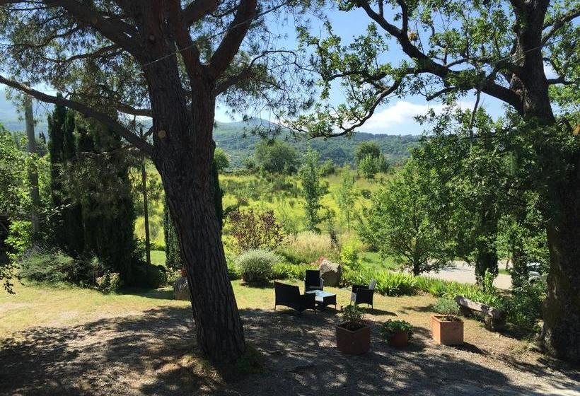 Bed and Breakfast Podere Pinzicalari  | Castel del Piano | Grosseto | Italia 1