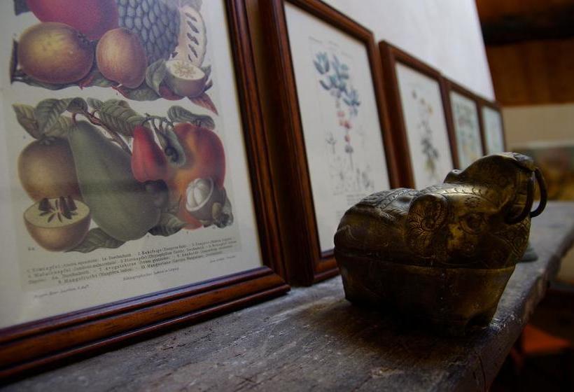 Bed and Breakfast Podere Pinzicalari  | Castel del Piano | Grosseto | Italia 10