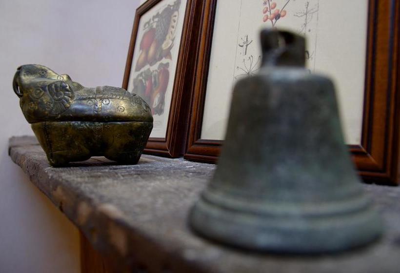 Bed and Breakfast Podere Pinzicalari  | Castel del Piano | Grosseto | Italia 15