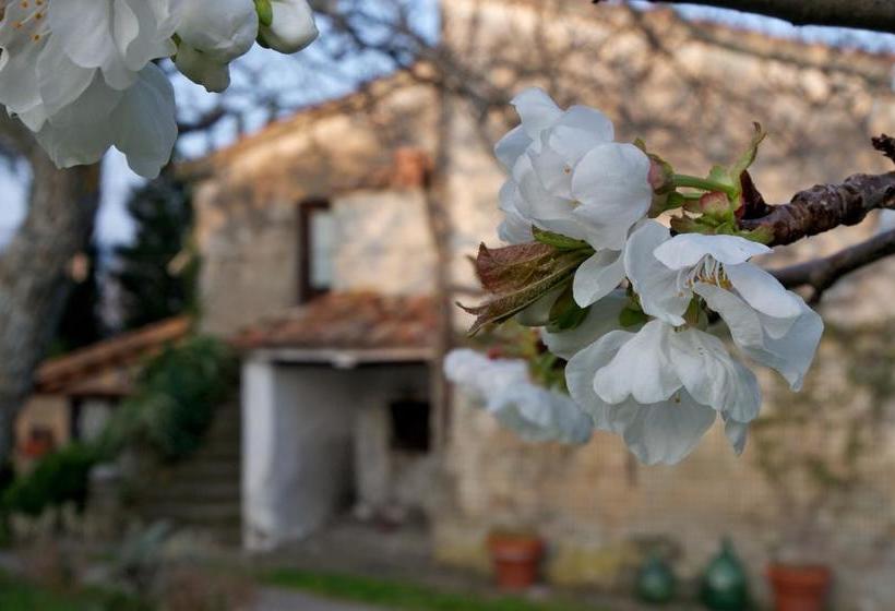 Bed and Breakfast Podere Pinzicalari  | Castel del Piano | Grosseto | Italia 20