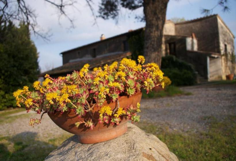 Bed and Breakfast Podere Pinzicalari  | Castel del Piano | Grosseto | Italia 7