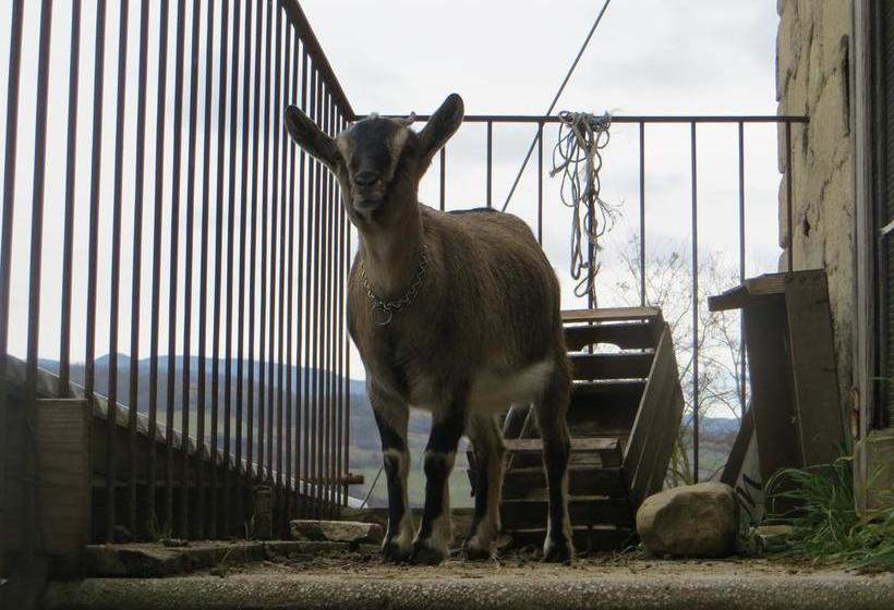 Bed and Breakfast Borgo Lamurese  | Avigliano | Potenza | Italia 10