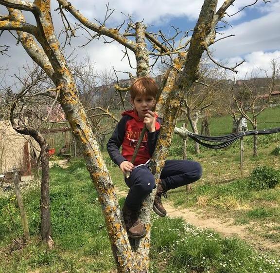 Bed and Breakfast Borgo Lamurese  | Avigliano | Potenza | Italia 15