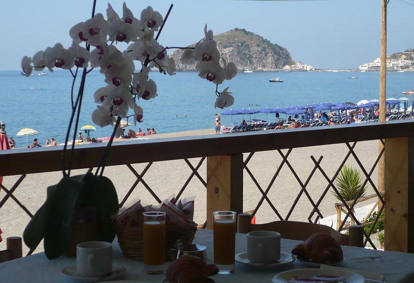 Bed and Breakfast Zi Bak  | Ischia | Napoli | Italia 10
