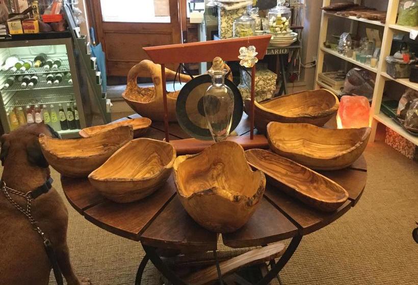 Bed and Breakfast Camere E Appartamenti Baldini Romanita  | Radda in Chianti | Siena | Italia 11