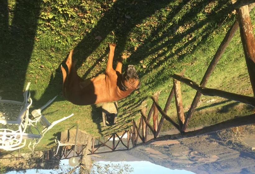 Bed and Breakfast Camere E Appartamenti Baldini Romanita  | Radda in Chianti | Siena | Italia 16