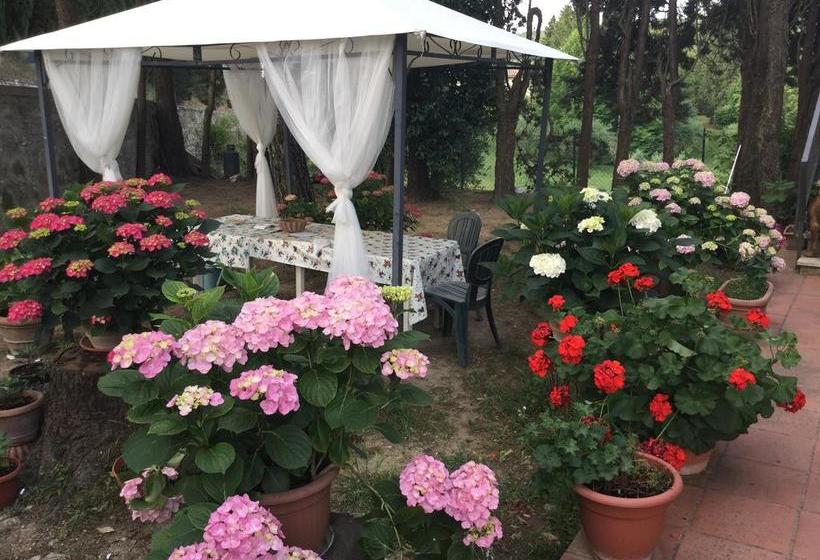 Bed and Breakfast Camere E Appartamenti Baldini Romanita  | Radda in Chianti | Siena | Italia 17