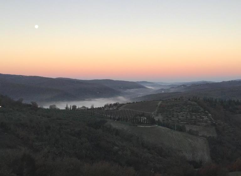 Bed and Breakfast Camere E Appartamenti Baldini Romanita  | Radda in Chianti | Siena | Italia 20