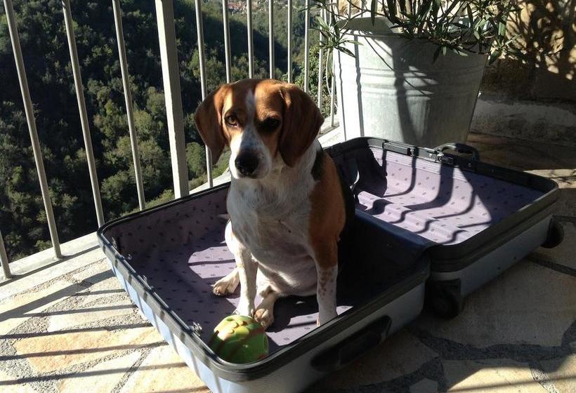 Bed and Breakfast Apricus Locanda  | Apricale | Imperia | Italia 9