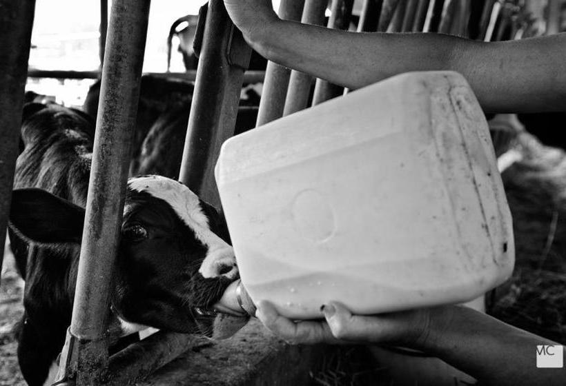 Agli Antichi Trulli B&b In Masseria  | Alberobello | Bari | Italia 15