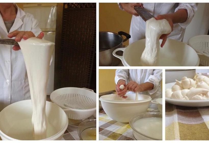 Agli Antichi Trulli B&b In Masseria  | Alberobello | Bari | Italia 16