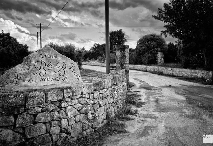 Agli Antichi Trulli B&b In Masseria  | Alberobello | Bari | Italia 8