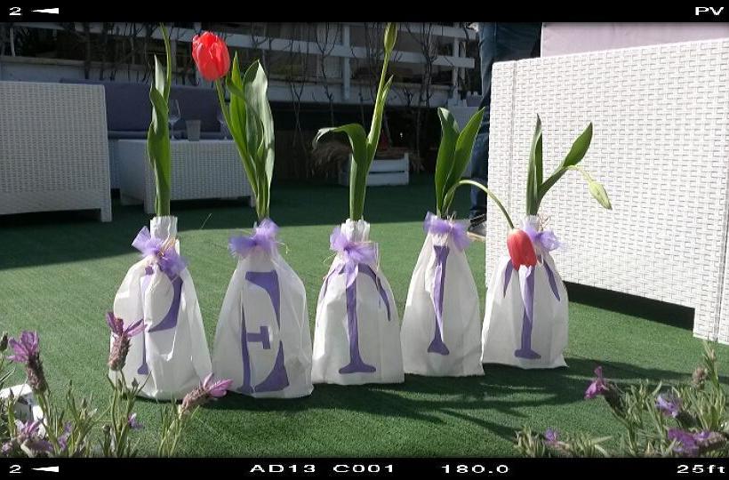 Hotel Petit Royal  | Silvi Marina | Teramo | Italy 1