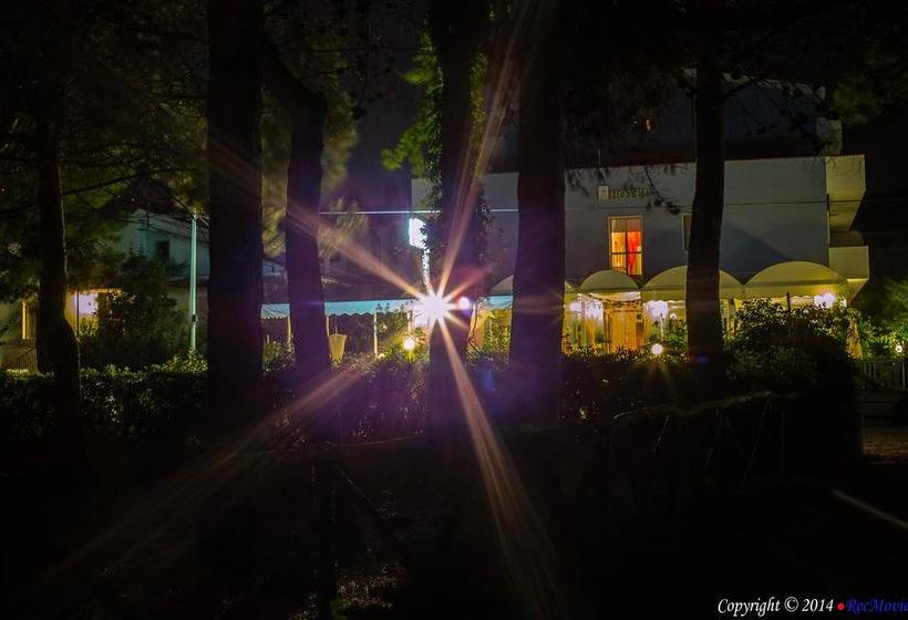 Hotel Petit Royal  | Silvi Marina | Teramo | Italy 11