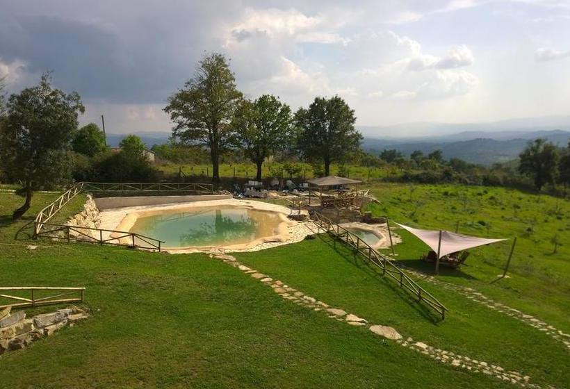 B&b Casale Di Poggioferro  | Scansano | Grosseto | Italy 5