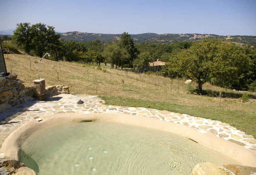 B&b Casale Di Poggioferro  | Scansano | Grosseto | Italy 9