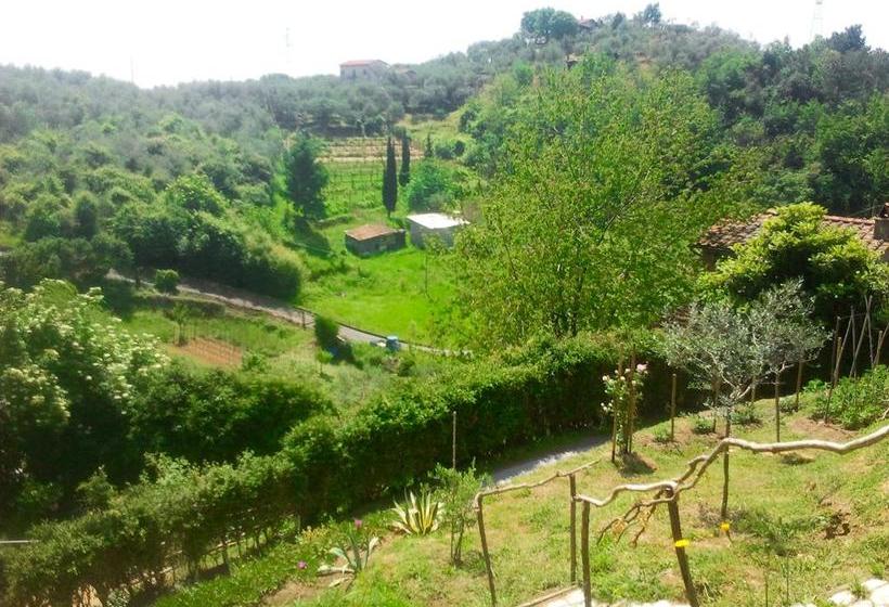 Le Stipedisopra B&b  | Pietrasanta | Lucca | Italia 20