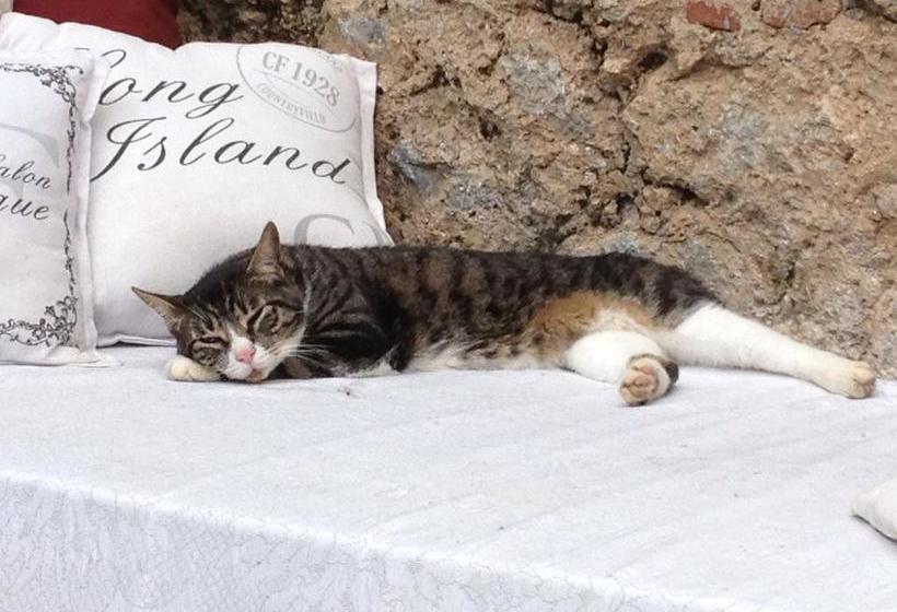 Le Stipedisopra B&b  | Pietrasanta | Lucca | Italia 5