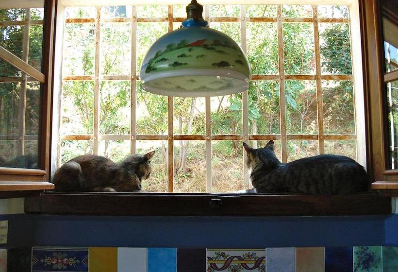 Le Stipedisopra B&b  | Pietrasanta | Lucca | Italia 9