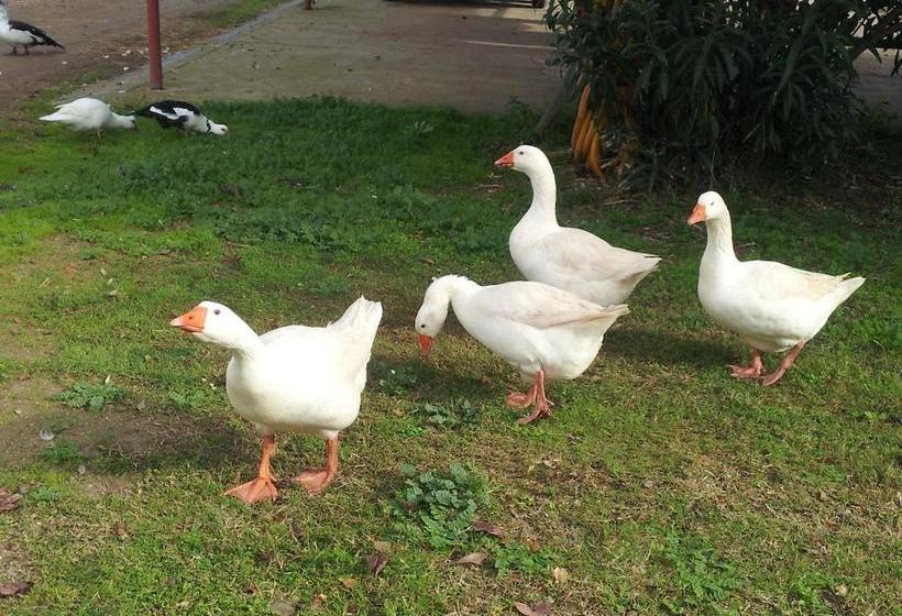 Santa Igia B&b  Country House  | Cagliari | Sardegna | Italia 14