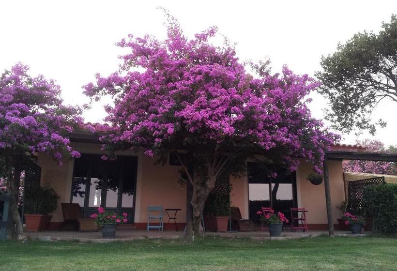 Santa Igia B&b  Country House  | Cagliari | Sardegna | Italia 16