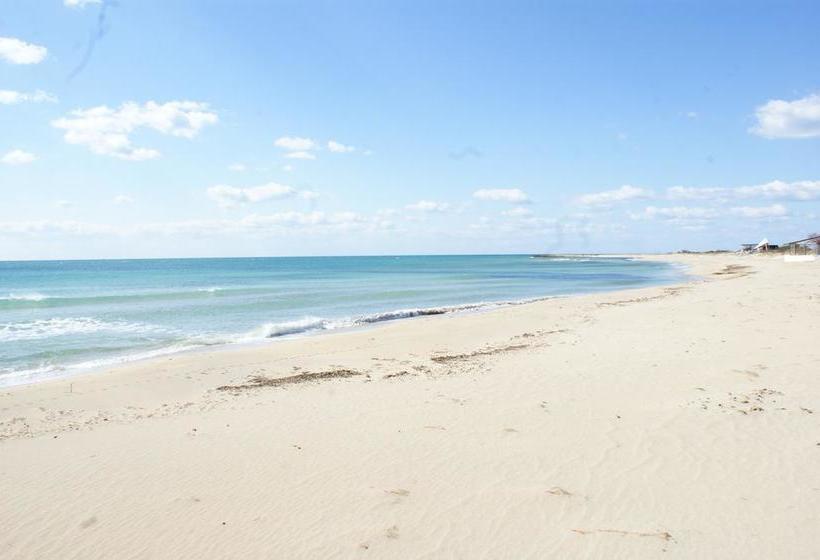 B&b Erminia  | Presicce | Lecce | Italia 5