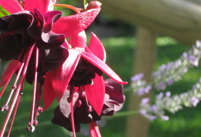 Bed and Breakfast Bed&breakfast Macchini  | Pescia | Pistoia | Italia 3