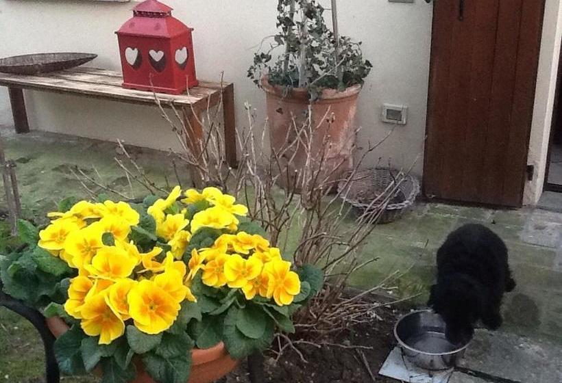 B&b Cosi Fan Tutte  | Rivoltella | Brescia | Italia 12