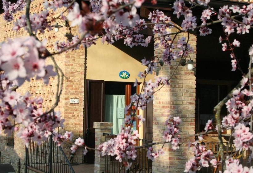 B&b Al Merlo Angelico  | Varano de'Melegari | Parma | Italia 17