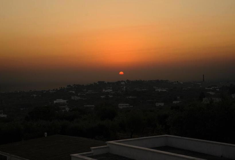 Bed and Breakfast Villa Madia  | Castellana Grotte | Bari | Italia 10