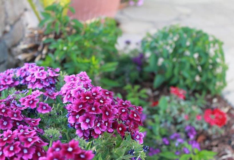 Bed and Breakfast Villa Madia  | Castellana Grotte | Bari | Italia 13