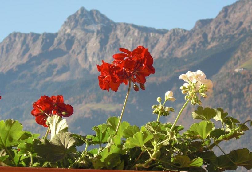 Bed and Breakfast Garni Unterhaslerhof  | Merano | Bolzano | Italia 17