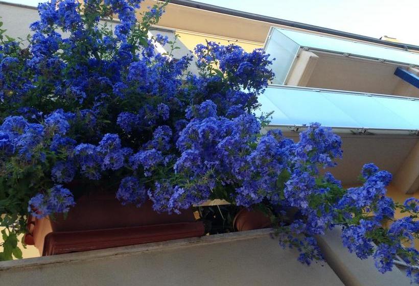 Hotel Vienna  | Senigallia | Ancona | Italia 16