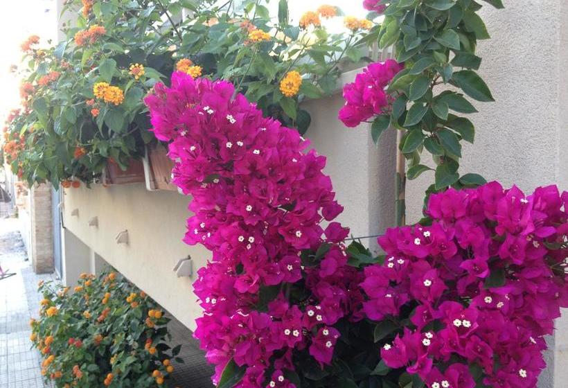 Hotel Vienna  | Senigallia | Ancona | Italia 17