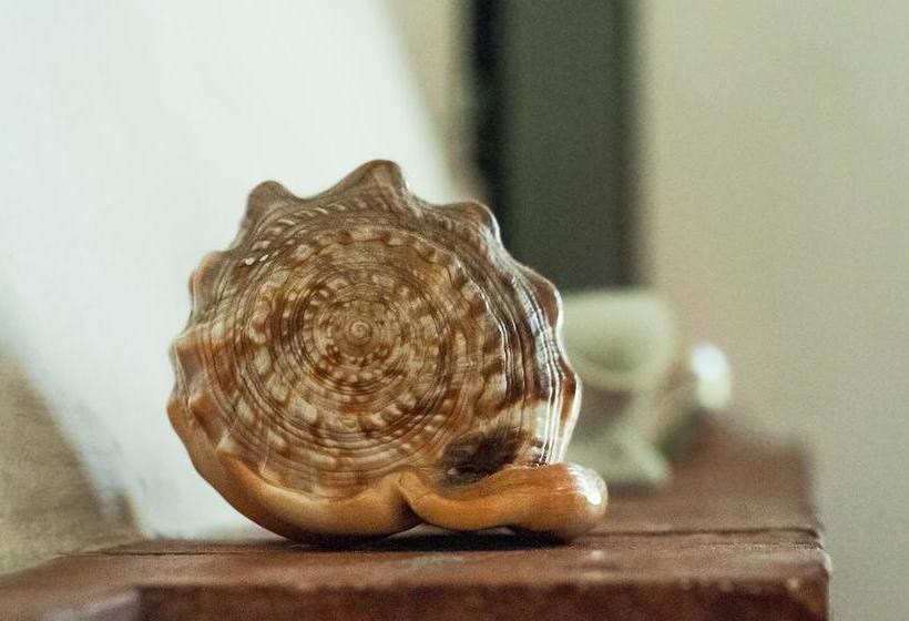 Bed and Breakfast Nonna Vincenza  | Maratea | Potenza | Italia 7