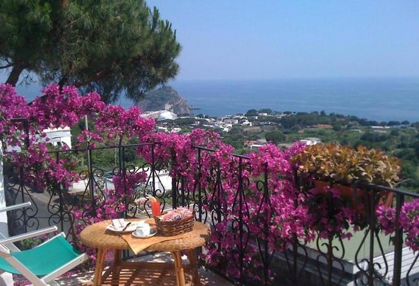 Hotel Bellavista  | Ischia | Napoli | Italia 6
