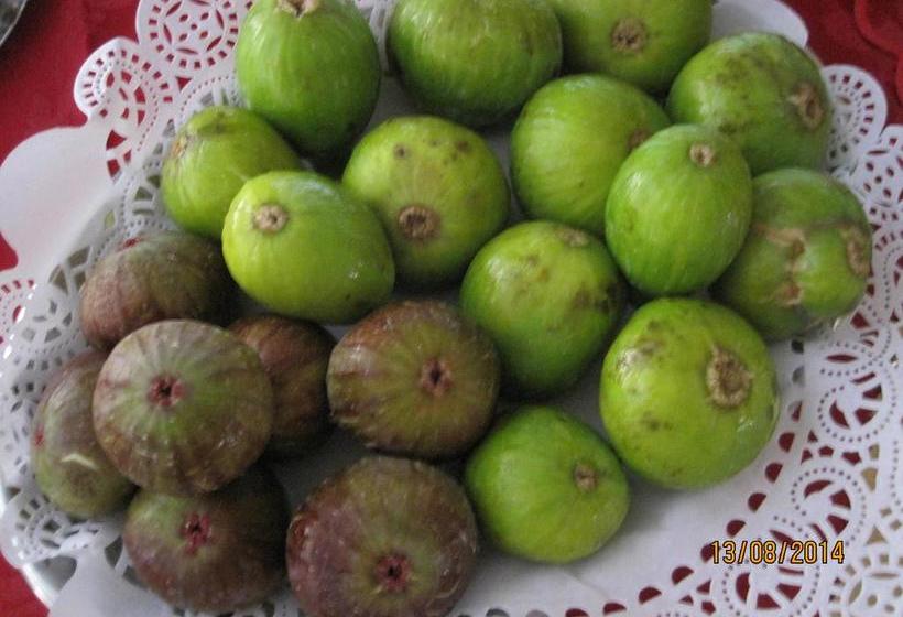 Hotel Matilde  | Marina di Massa | Massa Carrara | Italia 12