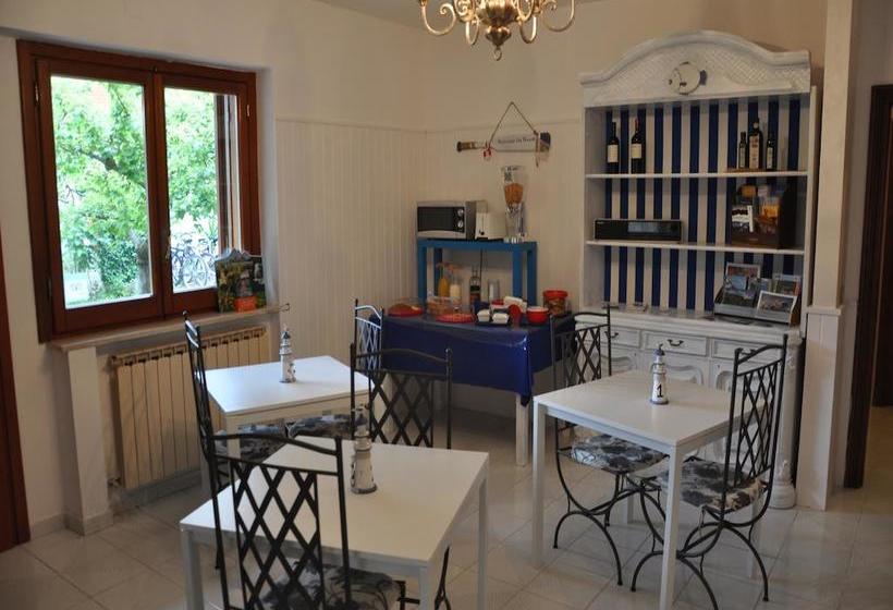 B&b Brezza Marina Montesilvano Pescara