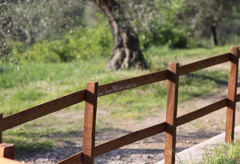 Bed and Breakfast Casale Millesoli  | Mugnano | Perugia | Italy 10