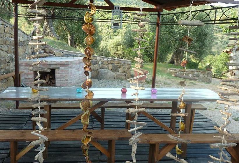 Bed and Breakfast Casale Millesoli  | Mugnano | Perugia | Italy 12