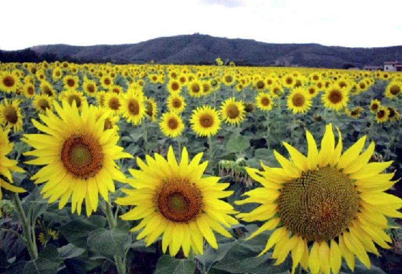 Bed and Breakfast Casale Millesoli  | Mugnano | Perugia | Italy 3